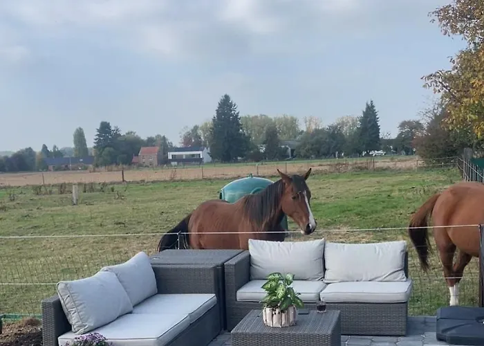 Charmante Maison Renovee Villa